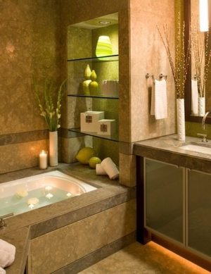 Glass Shelves in Tub Area